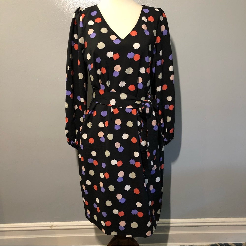 Ann Taylor Factory Long Sleeve Dress